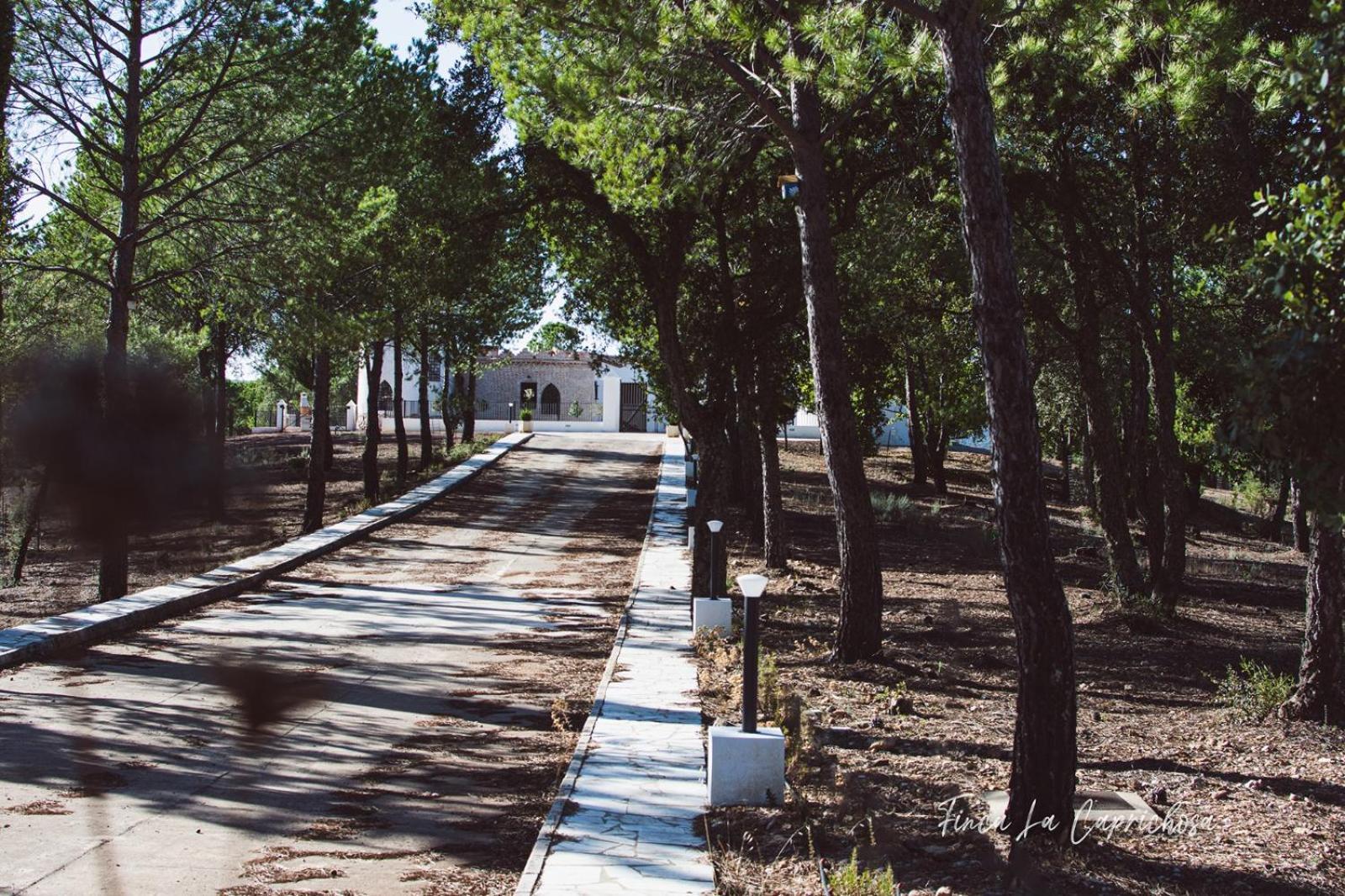 Finca La Caprichosa Cortelazor Екстериор снимка